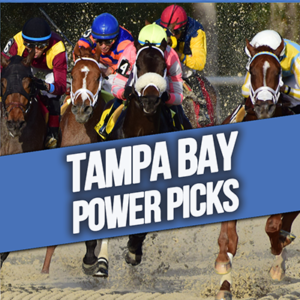 Tampa Bay Downs Power Picks