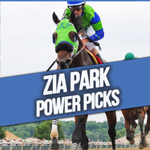Zia Park Power Picks